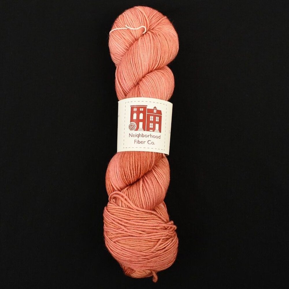 Neighborhood Fiber Co. Studio Sock Yarn 100% Superwash Merino Penrose